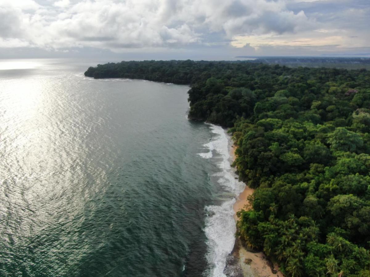Хостел Corcovado Adventures Дрейк Екстер'єр фото