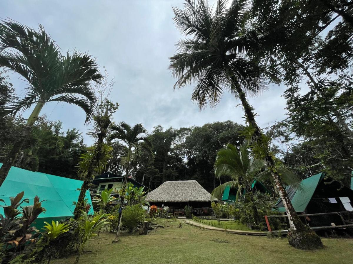 Хостел Corcovado Adventures Дрейк Екстер'єр фото