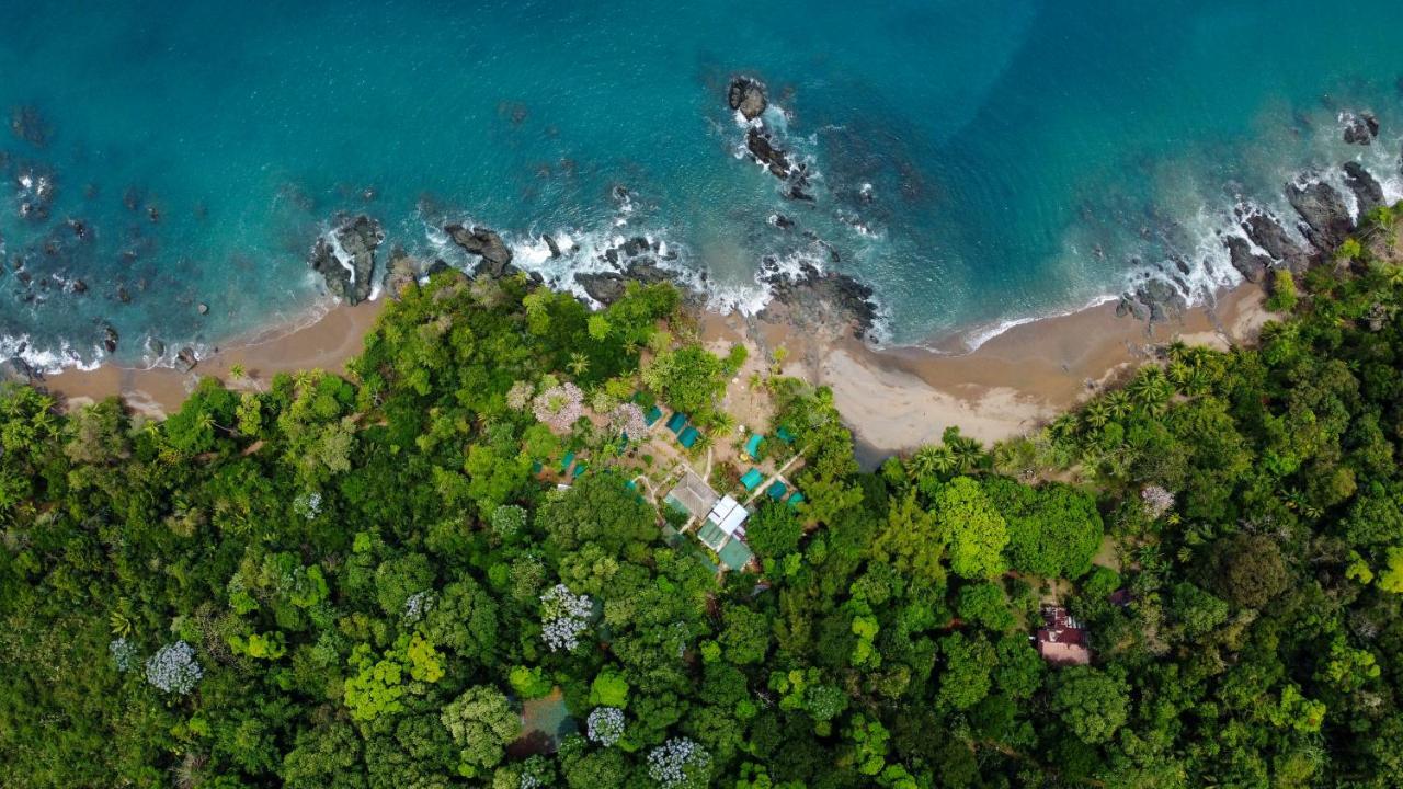 Хостел Corcovado Adventures Дрейк Екстер'єр фото