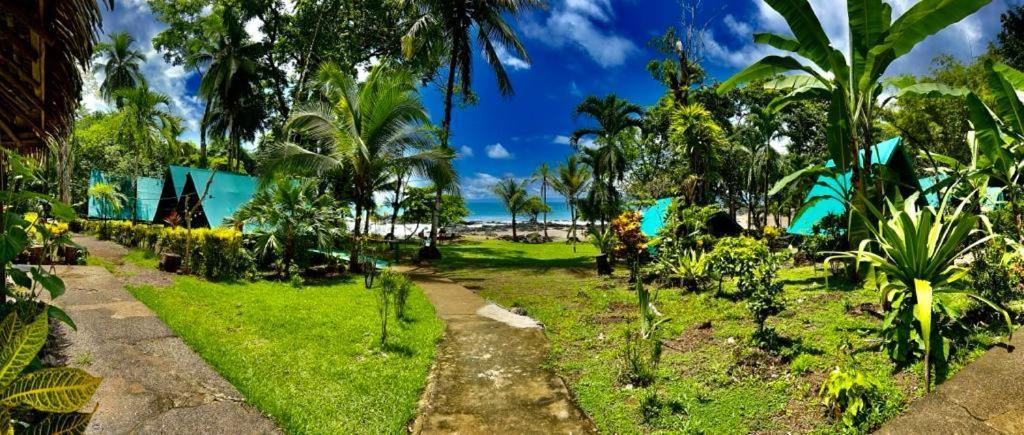 Хостел Corcovado Adventures Дрейк Екстер'єр фото