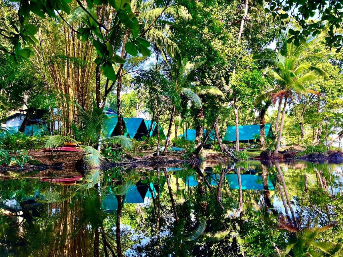 Хостел Corcovado Adventures Дрейк Екстер'єр фото