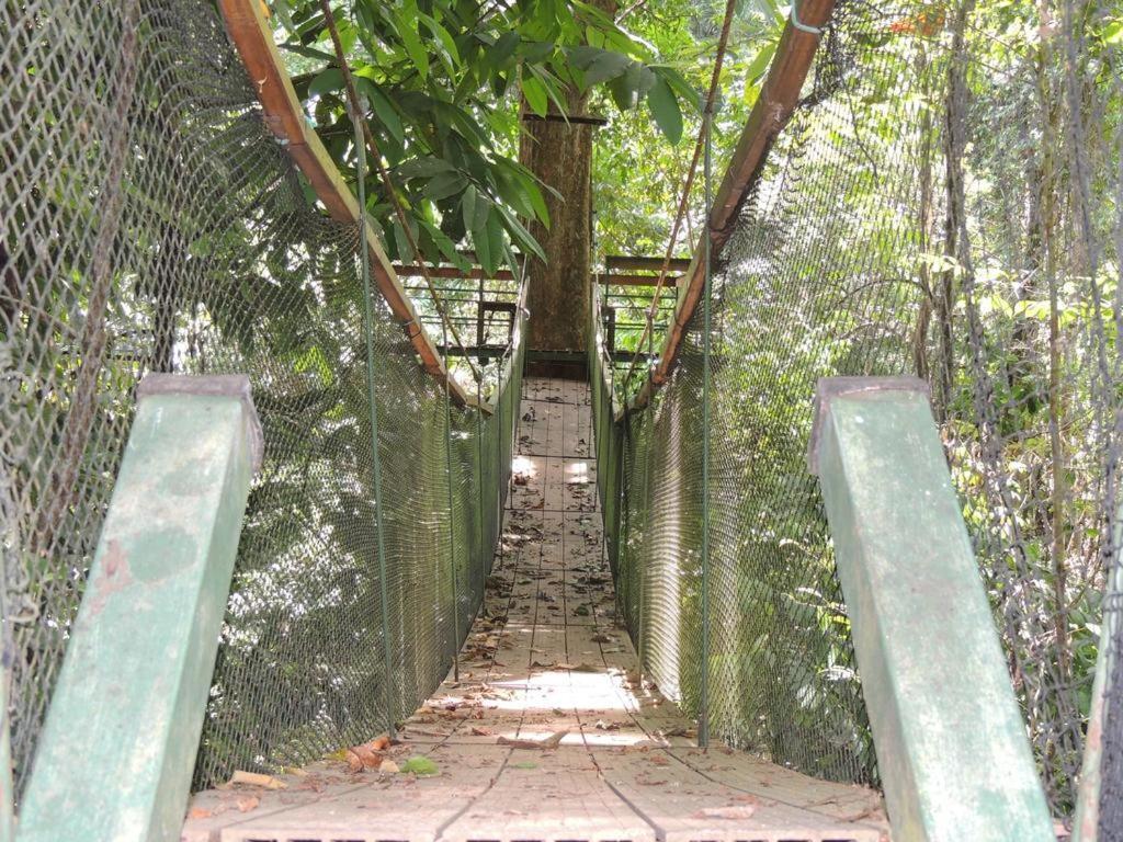 Хостел Corcovado Adventures Дрейк Екстер'єр фото