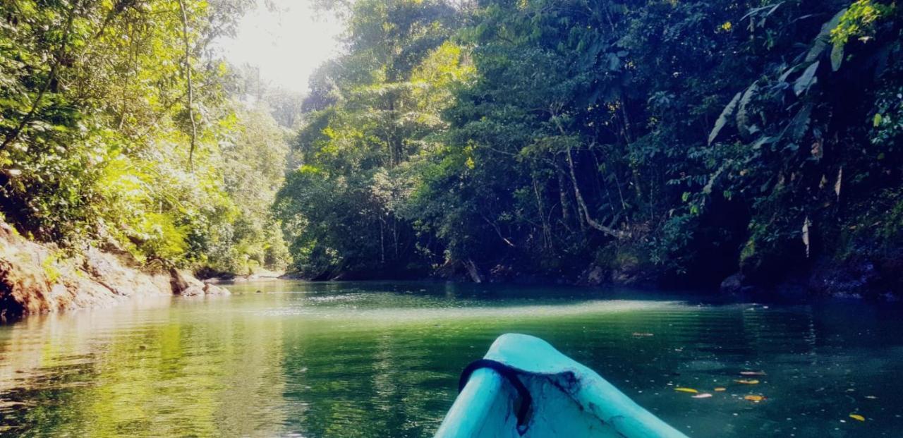 Хостел Corcovado Adventures Дрейк Екстер'єр фото