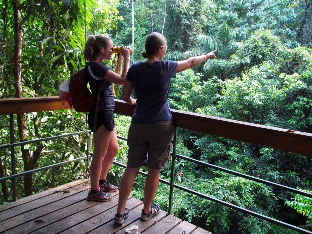 Хостел Corcovado Adventures Дрейк Екстер'єр фото